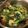 クックSI209D☆'s cooksnap of when they made 青菜の煮びたし.