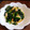 ねずみんパラダイス's cooksnap of when they made ほうれん草と豆腐の甘辛炒め.