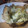 akichiru's cooksnap of when they made わかめと油揚げのごはん.