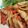 いさみょば's cooksnap of when they made 鶏むね肉で♪　揚げない簡単南蛮漬け.