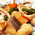 ダッフィーニーうに's cooksnap of when they made いかと根菜の煮物.