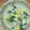 おはなすき's cooksnap of when they made ほうれん草とコーンと切り干し大根の煮物.