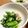 yamahyu's cooksnap of when they made チンゲン菜のおひたしツナ和え.
