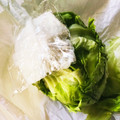 azbjbn's cooksnap of when they made レタス長持ち☆実感間違いなし！簡単保存法.