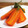 horseland's cooksnap of when they made レンジでまるごと♪蒸しニンジン.