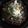 クック2H9MD0☆'s cooksnap of when they made 白だしで簡単☆ネギ塩油そば.