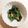 クックQ4ZSFT☆'s cooksnap of when they made ♡子供が大好きなほうれん草の胡麻和え♡.