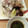 未来☆ママ's cooksnap of when they made 鯛のあらで♪たいの酒蒸し.