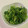 papikun's cooksnap of when they made 白だしで　菜の花のからし和え.