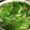 feel872's cooksnap of when they made ＊博多もつ鍋＊.