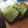Penpen7's cooksnap of when they made 簡単！！濃厚抹茶ケーキ♪.