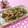 toraちゃん♪'s cooksnap of when they made 簡単♫豚肉のマヨしょうが焼き.