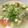 クックM6DK2O☆'s cooksnap of when they made ● カルド トラルペーニョ●メキシコ料理.