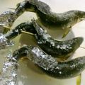 maruru-nn's cooksnap of when they made 泳いでおります♪岩魚の串焼き♪鮎でもOK.