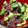 yupi☆★'s cooksnap of when they made 自慢のアヒポケ♪オゴの代わりに使うのは？.