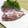 horseland's cooksnap of when they made ♪アジを３枚におろす(^^)/♪.