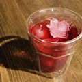 ちきんやろう's cooksnap of when they made ヤマモモジュース.