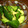 クッキングめぐちゃん's cooksnap of when they made チョー簡単☆きゅうりの中華風あぇ　.