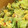 クックZ8J4H4☆'s cooksnap of when they made レタスとふわふわ卵のカニカマ中華炒め.