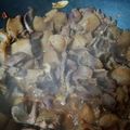 じぇりい's cooksnap of when they made 圧力鍋で砂肝とこんにゃくのピリ辛煮.