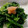 maruru-nn's cooksnap of when they made ほうれん草の明太子和え.