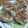 55才のおじさん's cooksnap of when they made 豚バラとたまねぎ♥シャキシャキハンバーグ.