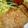 コンフリー's cooksnap of when they made 漬け込むだけの豚ロース味噌焼き☆.
