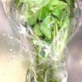 koiko亭's cooksnap of when they made クレソン　保存方法.