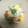 Karikari苺's cooksnap of when they made さっぱり♡納豆と卵の巾着焼き.