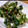 mo＊mo's cooksnap of when they made 菜の花とツナのからしマヨ和え♡.