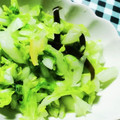 まぶたん's cooksnap of when they made 簡単　白菜の浅漬け.