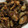 クック0HZFN7☆'s cooksnap of when they made 牡蠣の佃煮.