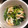 xMARILYNx's cooksnap of when they made 小松菜と油揚げのお浸し.