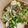 tUbouEats！'s cooksnap of when they made 牡蠣の洗い方.