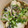 tUbouEats！'s cooksnap of when they made 牡蠣の洗い方.