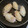 クックT3F867☆'s cooksnap of when they made 手羽先と根菜の煮もの（圧力鍋】.