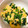 初心者ayy's cooksnap of when they made 簡単ほうれん草卵中華だしの素の野菜炒め♪.