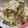 ぽんぽんぐ's cooksnap of when they made えのきと舞茸の炊き込みご飯.