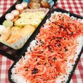 あゆまんま♪'s cooksnap of when they made 干し海老ふりかけごはん.