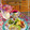 sakuraロゼット's cooksnap of when they made はちみつ梅&マヨの☆簡単焼きはんぺん.