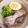 しじみごはん's cooksnap of when they made 春キャベツと鶏手羽元のスープ仕立て.