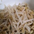 あちたんまん！'s cooksnap of when they made レンジで簡単もやしのナムル.