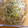 こうりん☆'s cooksnap of when they made お手軽一品♪和風ゆかりもやしナムル.