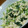 ju_10's cooksnap of when they made 簡単♪中華風な♪♬豆腐白和え♪♬.