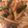 ☆しいたんママ☆'s cooksnap of when they made 野菜たっぷり中華丼.