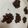 cha_n64's cooksnap of when they made 豆チョコ♡（節分豆チョコレート）.