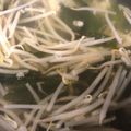 クックQULPYE☆'s cooksnap of when they made もやしとワカメの味噌汁♪.