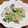 msft5632's cooksnap of when they made 豆乳でつくるチキンの中華風クリーム煮.