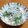 msft5632's cooksnap of when they made 大葉もネギもゴマも混ぜ混ぜシラス丼.