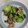 クックIH1UIA☆'s cooksnap of when they made 簡単美味しい高菜と豚肉の塩胡椒炒め.